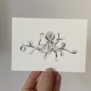 ansichtkaart fine line illustratie octopus zeedieren zwart wit studio tosca