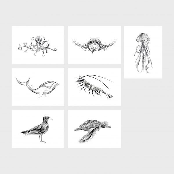 set ansichtkaarten zeedieren lijntekening fine line zwart wit illustraties studio tosca