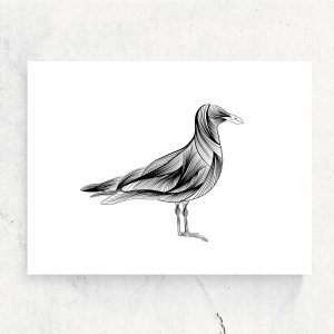 ansichtkaart-meeuw-fine-line-illustratie-studio-tosca-vis-zwart-wit-terschelling-staatsbosbeheer-vlieland-texel