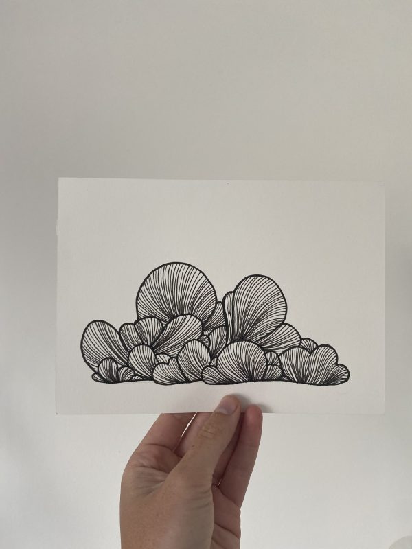 lijn-illustratie kunst fine line zwart wit wolk sky bergen studio tosca terschelling