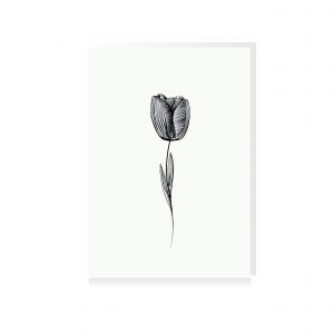 nsichtkaart-tulp-fine-line-illustratie-bloem-plant-nederland-fine-line-studio-tosca-trots-wenskaart