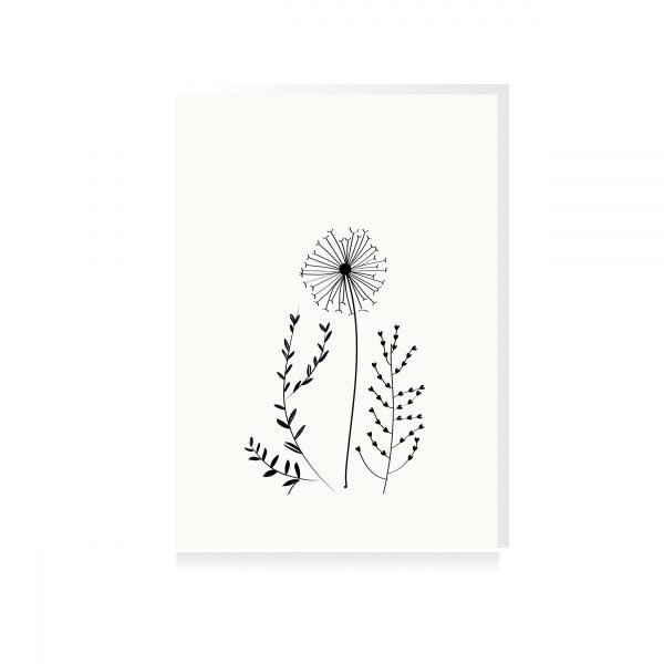 fine line illustratie bloemen condoleance kaart ansichtkaart studio tosca trots wenskaart