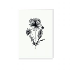 poster viooltje zwart wit fine illustratie viool bloem plant studio tosca