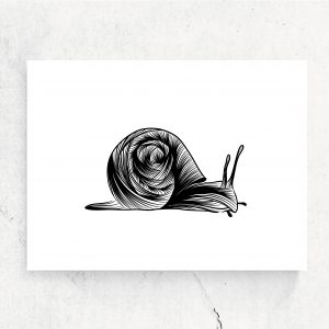 ansichtkaart slak fine line zwart wit snail studio tosca terschelling bosdieren kinderkamer