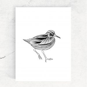 ansichtkaart illustratie drieteenstrandloper vogel kinderkamer fine line zwart wit studio tosca