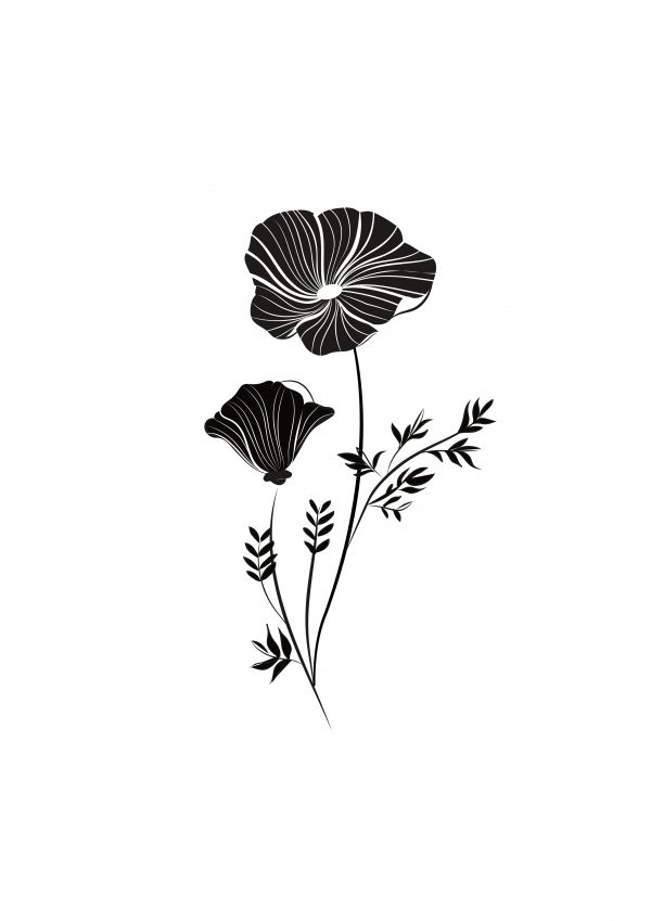fine-line-tattoo-klaproos-minimalistisch-illustratie-illustration-zwart-wit-minimalistisch-tattoo